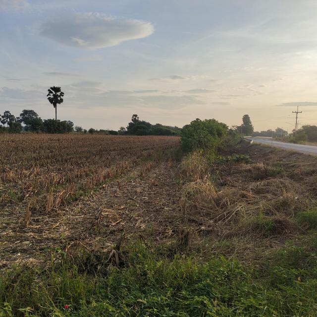 ที่ดินลพบุรี เนื้อที่ 6 ไร่ 90 ตารางวา 14