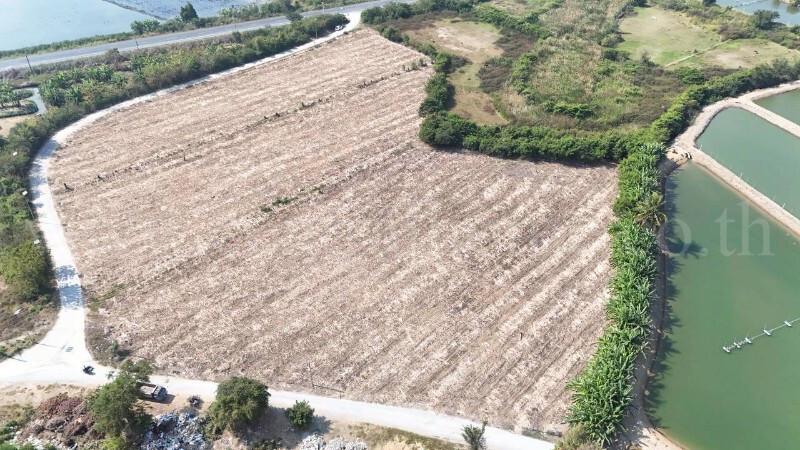 ที่ดินเปล่า ถมแล้ว 12-3-22 ไร่ ห้วยม่วง นครปฐม 9