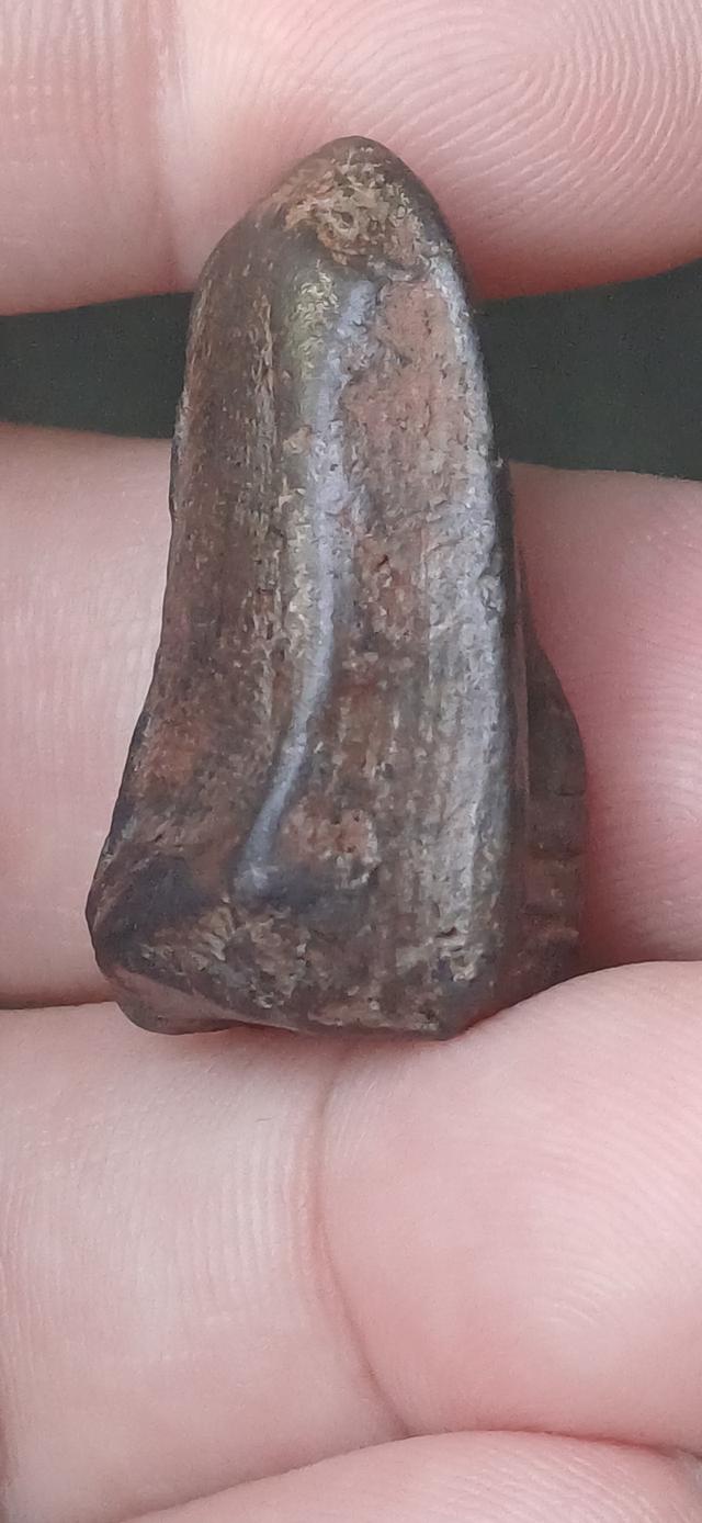 พระคงดำ หรือ ลำพูนดำ กรุวัดพระคงฤาษี จังหวัดลำพูน รูปที่ 3