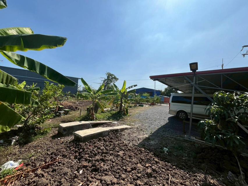 ขายที่ดินเปล่า ซอยบงกช40 คลองสอง คลองหลวง 4