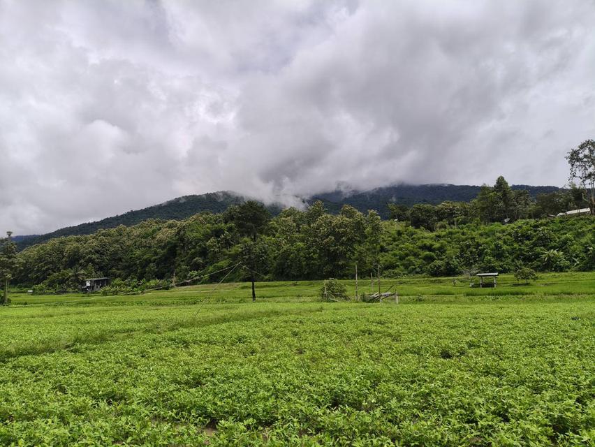 ที่ดิน ทำเลติดภูเขา จ.น่าน 13