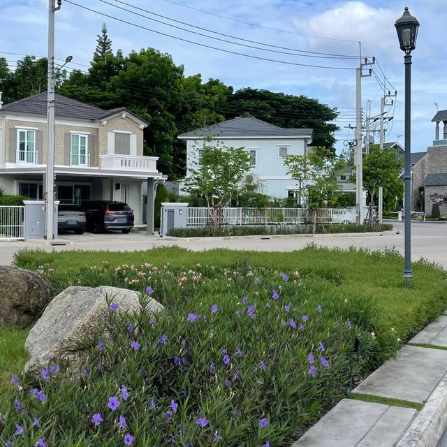 For Rent  บ้านเดี่ยว Blue Lagoon 2 บางนา-วงแหวน 1