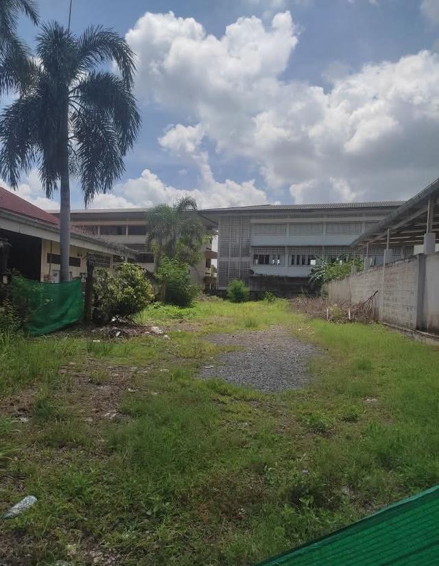 ขายที่ดินติดถนนใหญ่ในตัวเมืองปราจีนบุรี 3