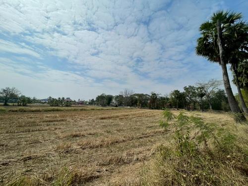 ขายที่ดิน 3 งาน 78.0 ตรว. ต.ขามทะเลสอ อ.ขามทะเลสอ จ.นครราชสีมา 8