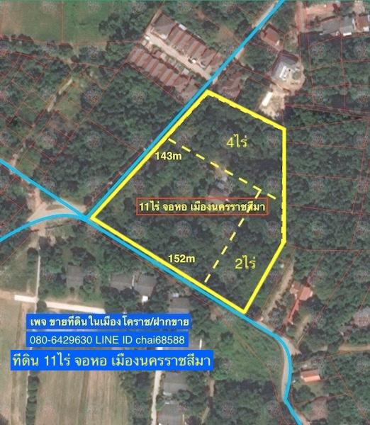 ขายที่ดินพร้อมไม้พะยูง ต้นไม้เต็มพื้นที่เนื้อที่ 11ไร่ 57ตรว. จอหอ เมืองนครราชสีมา ที่ดินติดถนน 2ด้าน เหมาะพัฒนาเป็นบ้านสวน คาเฟ่ 4