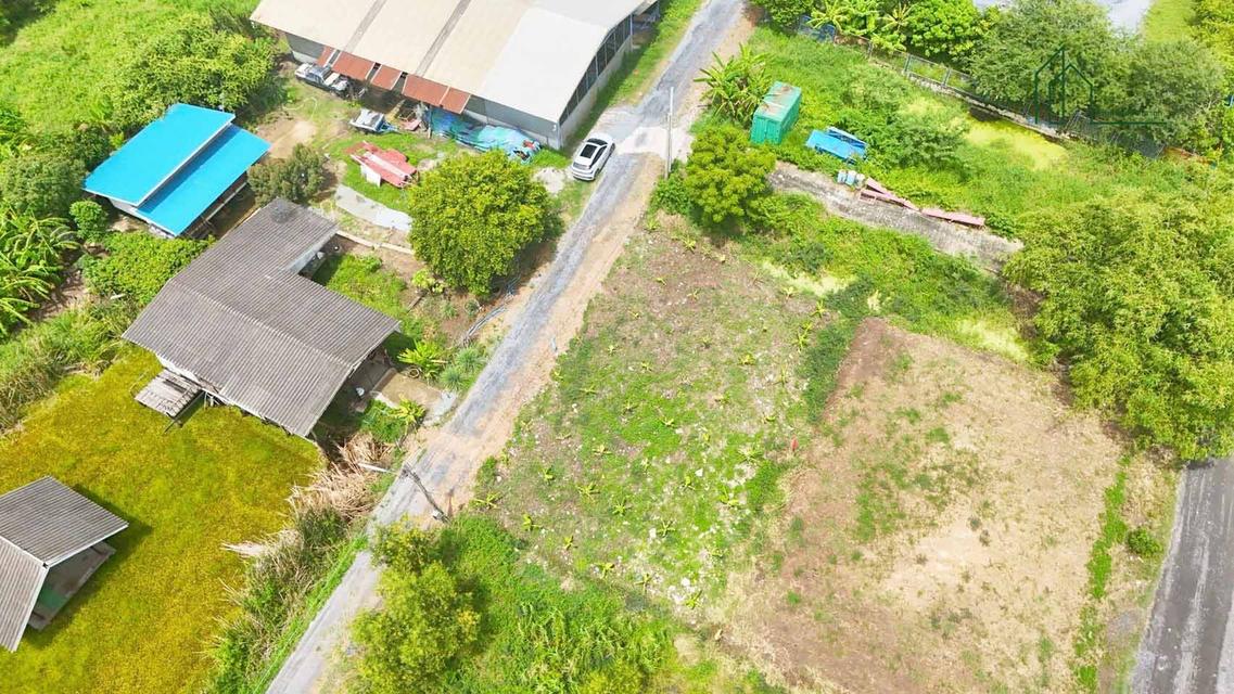 เปิดจอง ที่ดิน คลอง 5 ซอย 68 ตะวันออก คลองหลวง ปทุมธานี