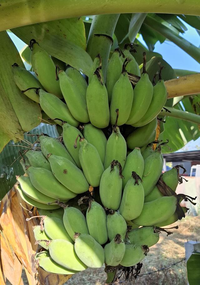 บ้านพร้อมที่ดินสุพรรณ 4