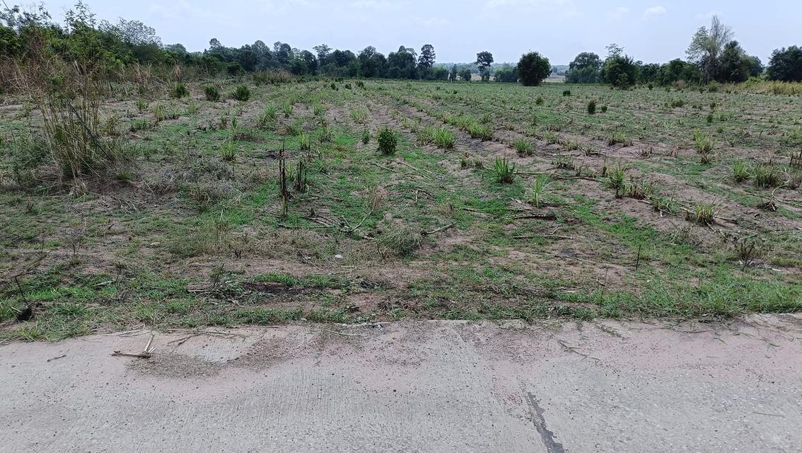 ที่ดิน 5 ไร่ 1 งาน โฉนด นส.4 จ 9