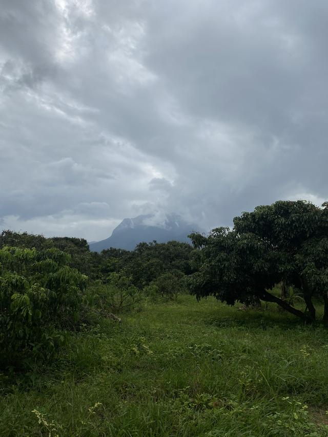 ที่ดิน อ.เชียงดาว  วิวดอยหลวง 3