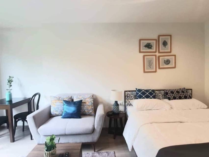 คอนโด เดอะเบส เซ็นทัล ภูเก็ต 5