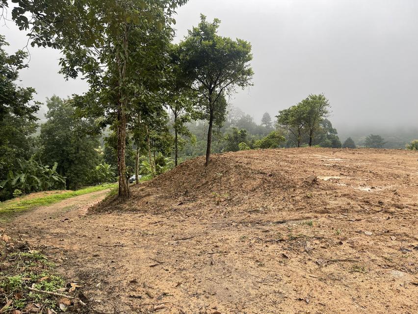 ขายที่ดินสายแม่ริม-ม่อนแจ่ม เชียงใหม่ 6