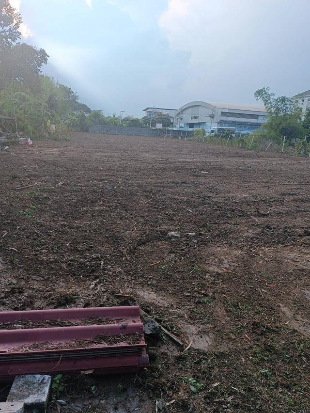 ที่ดิน 12