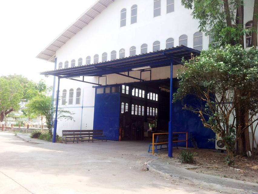 ขายโรงงาน/โกดังหนองแคพร้อมใบรง.4รวมเนื้อที่ 81 ไร่ ซอยเทศบาล5วิหารแดงใกล้ถ.สุวรรณศร33-1กม. จ.สระบุรี 2
