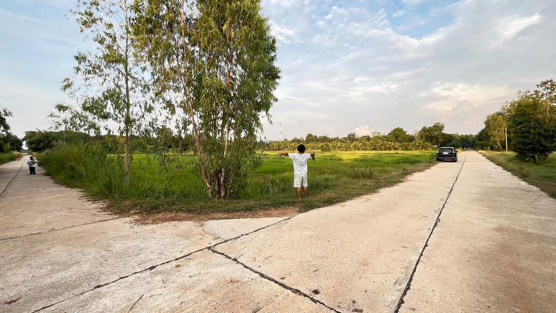 ที่ดิน จังหวัดสระแก้ว 12 ไร่ 1 งาน 79.6 ตร.ว. 6