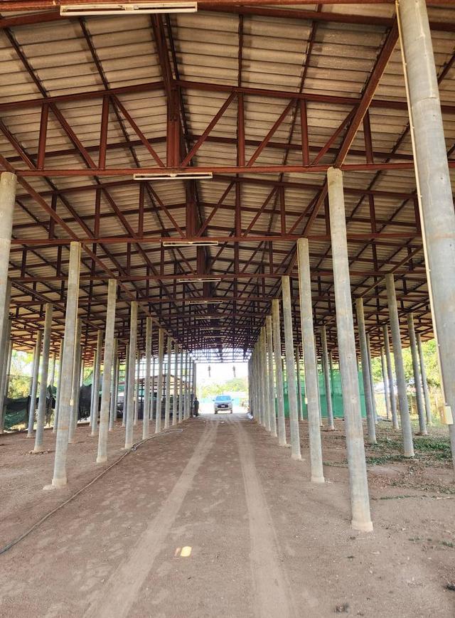 ที่ดินพร้อมสิ่งปลูกสร้าง 4