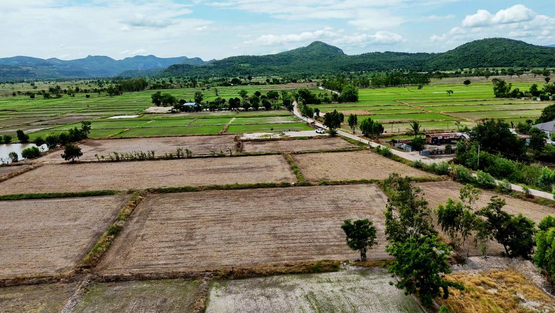 ที่ดิน สระโบสต์ จ. ลพบุรี ไร่ละ 165,000 บาท 14