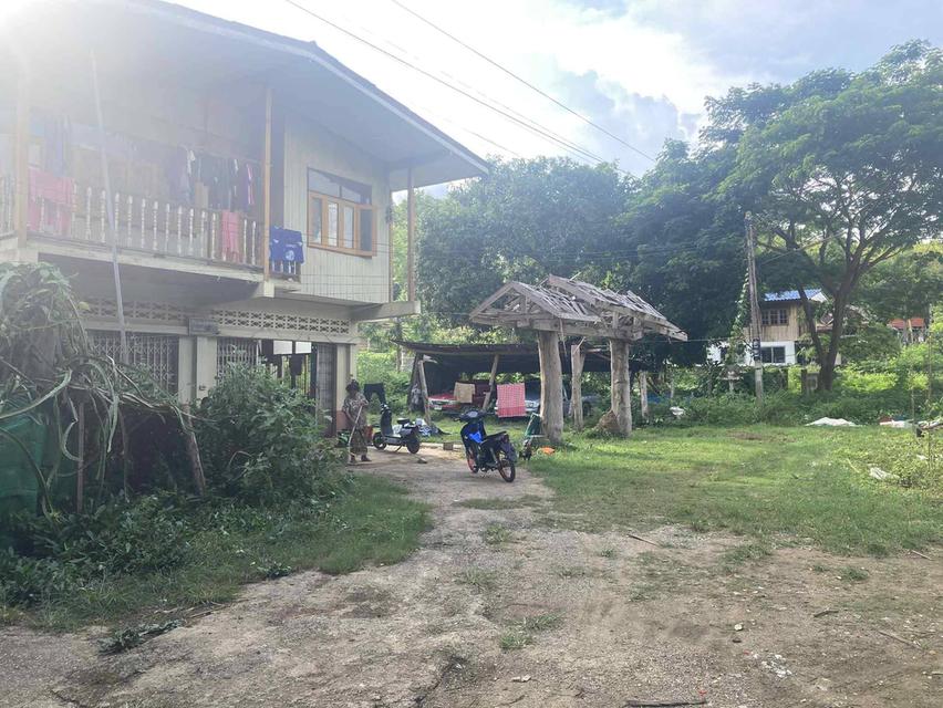 ขายบ้านพร้อมที่ดิน  เนื้อที่ 2ไร่ 2 งาน 74 ตรว ค่ะ 🏠 🏡บ้านห้วยไร่ อำเภอเด่นชัย จังหวัดแพร่ 4