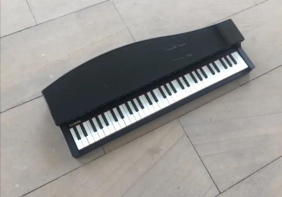 Korg micro Piano (Made in Japan) 2