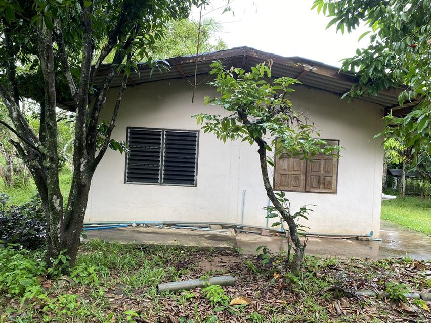 ขายที่ดินพร้อมบ้าน เนื้อที่ 365 ตารางวา อ.เกาะจันทร์ จ.ชลบุรี 2