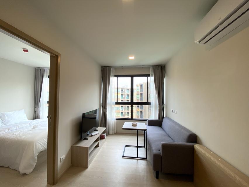 ปล่อยเช่า Dcondo Calm 6