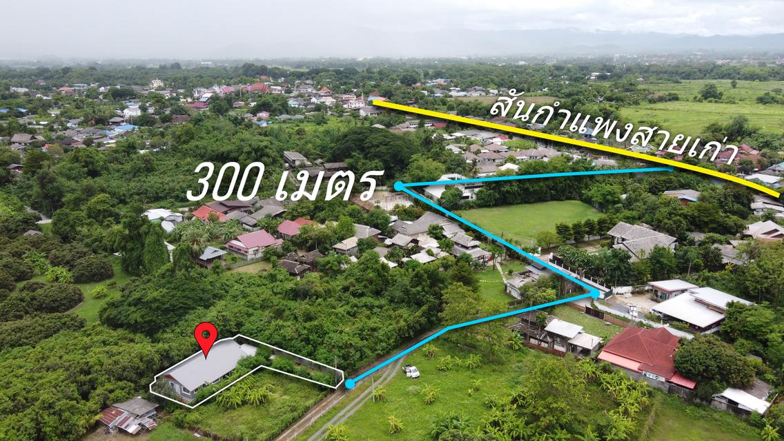  ขายบ้านพร้อมที่ดิน 94 ตร.ว. 3นอน 2 น้ำ ใกล้ รร.สันกำแพง 11