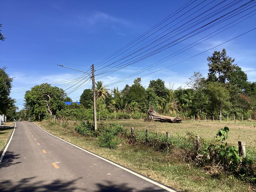 ขายที่ดินสร้างบ้านตากอากาศ 11