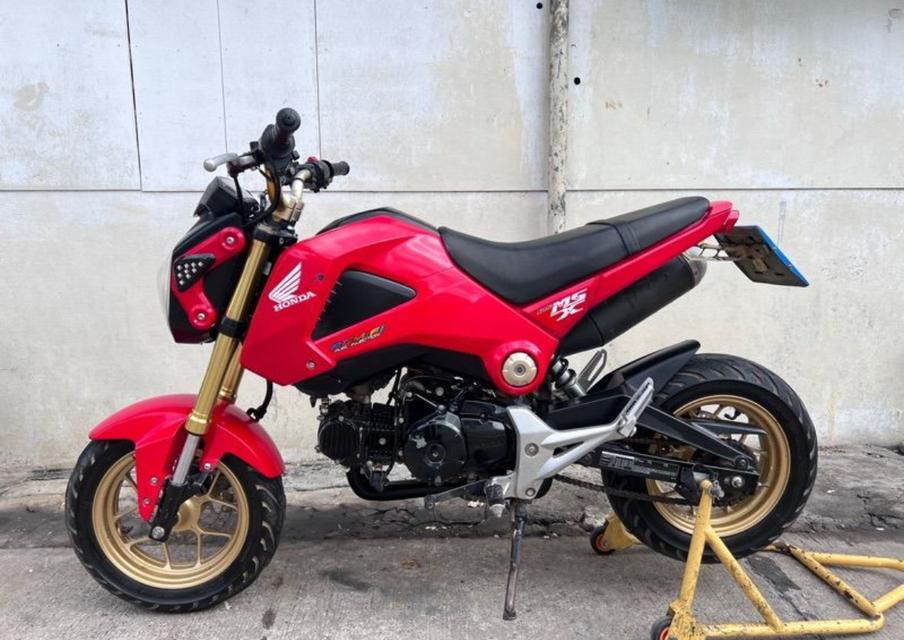 รถมือสอง Honda MSX125 ไฟกลม 2