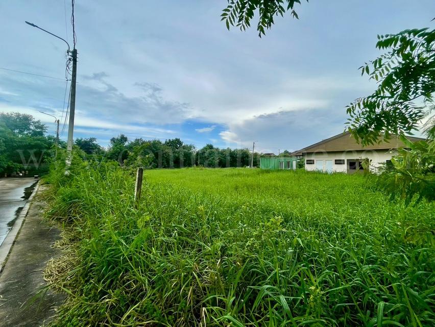 ที่ดินเปล่า 246 ตร.วา ปัญญาเลคโฮม คลองสามวา ขายเท่าราคาประเมิน 2