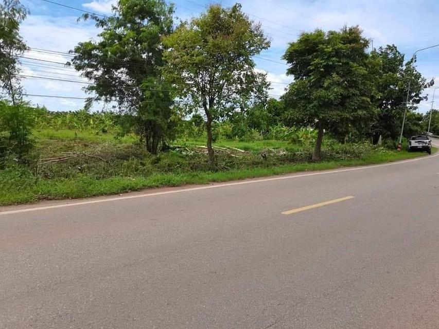 ขายที่ดินบางกระเจ็ดถมแล้ว 176 ตรว. ติดถนนฉช.5033 ใกล้วัดลาดบัวขาว-850เมตร อ.บางคล้า ฉะเชิงเทรา 2