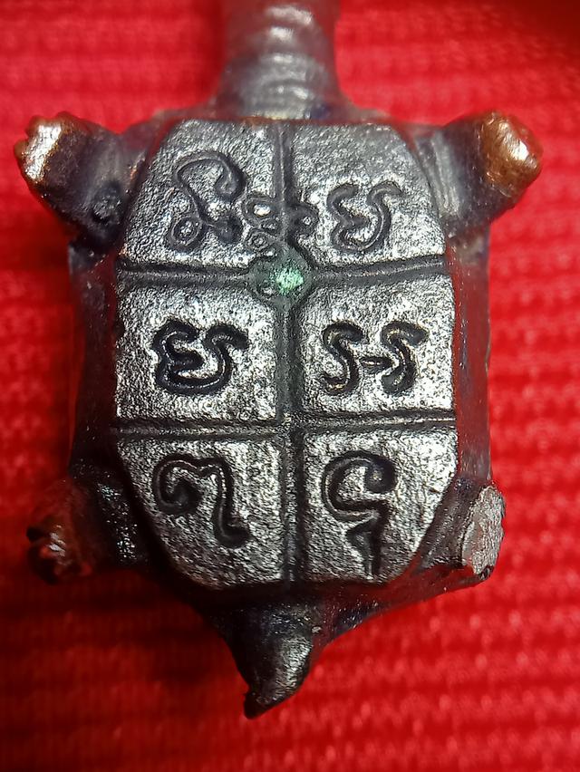 เต่าหลวงพ่อทรัพย์วัดตลุก 2