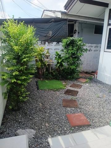 ให้เช่า บ้านเดี่ยว ชั้นเดียว โครงการ ทิวสน ลาดพร้าว 87 แยก 18 เลียบด่วน ใกล้ CDC ไม่รับสัตว์เลี้ยง 8