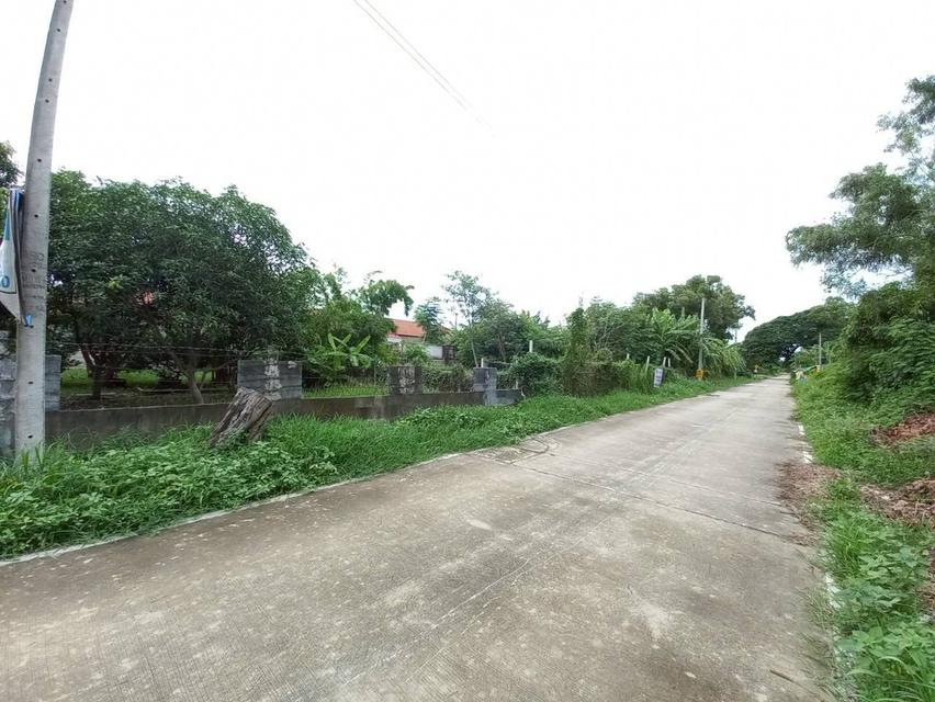 ขายที่ดินเปล่า ซอยคลองสาม6/2 ถนนเลียบคลองสาม คลองหลวง ปทุมธานี 2