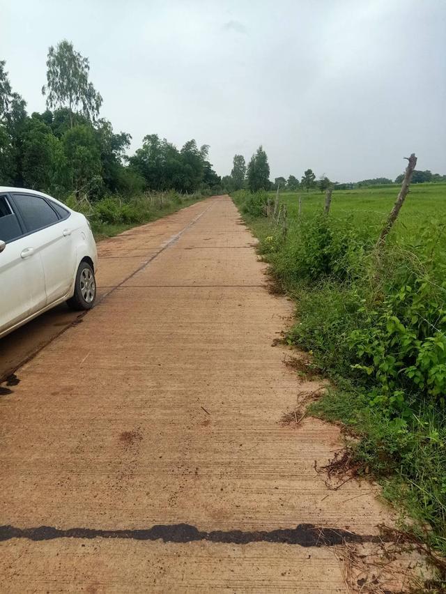 ด่วนที่ดิน แปลงสวย ครุฑแดง 1 ไร่ ใกล้ชุมชน ติดคอนกรีต