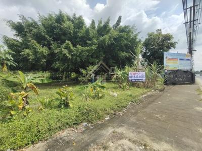 ที่ดินเปล่า ถมแล้ว 2-0-83.9 ไร่ ติดถนนใหญ่ ปากพูน นครศรีธรรมราช แปลงสวย 3