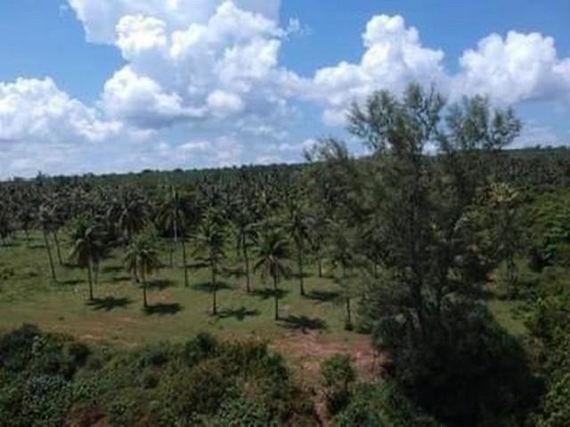 ที่ดินบ้านพร้อมโอนเจ้าของขายเอง ที่ติดทะเล ฝั่งแดง ขายราคาไร่ล่ะ 3.5 ล้านบาท โฉนดครุฑแดง พร้อมโอน 4