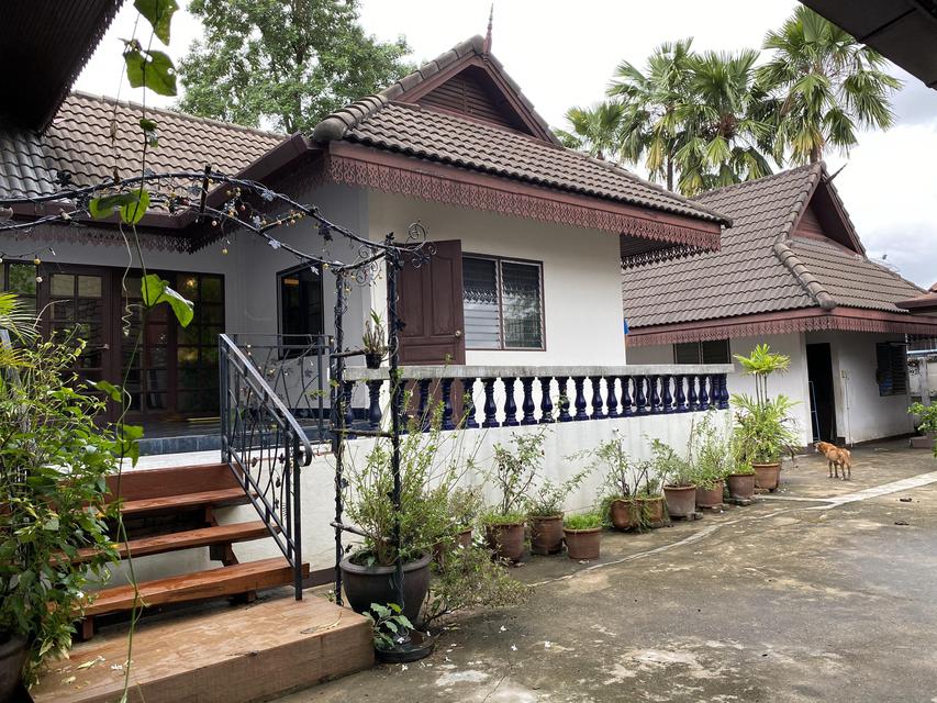 Rent House fully furnished closed river view at Sankhamheang Chiang Mai 12 month for contract  3