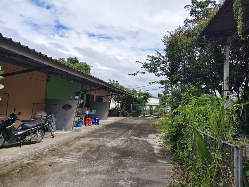 ที่ดินพร้อมอาคาร ห้องแถว โกดังเก็บของ 3