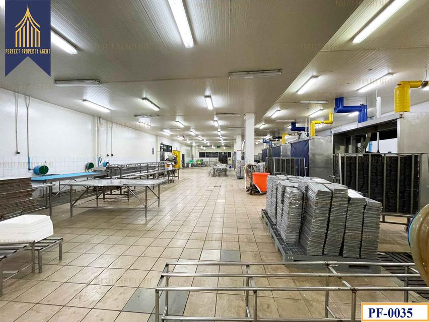 ขายโรงงาน ห้องเย็น ใกล้บ้านโพธิ์ ฉะเชิงเทรา คลองประเวศ ฉะเชิงเทรา 6