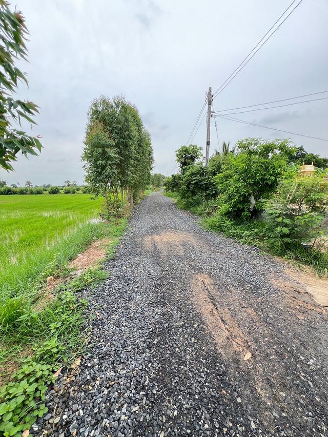 ที่ดิน ที่นา ที่อยู่อาศัย ที่ดินเปล่า 10