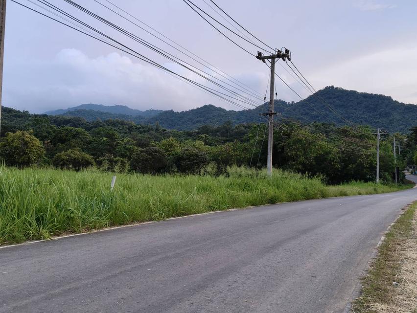 ขายที่ดินเขาใหญ่ ปากช่อง 7ไร่ วิวเขาล้อมรอบสวยมาก ใกล้ภูเขา กุดคล้าผ่านศึก พญาเย็น ใกล้ไร่องุ่นกรานมองเต้ ใกล้ธนะรัชต์ ภิรมณ์ อุทยาน 0879074045 4