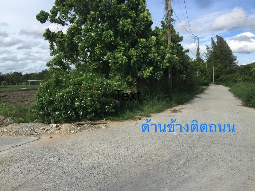 ขายที่ดินยกแปลง 10.9175 ไร่ เหมาะสำหรับทำบ้านพักตากอากาศ รีสอร์ท ร้านอาหาร บ้านช่องมะเฟือง ต.หนองรี อ.เมือง ชลบุรี 8