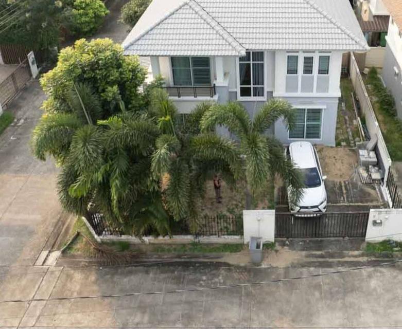 ให้เช่าบ้านเดี่ยว หลังมุม เลี้ยงสัตว์ได้ 8