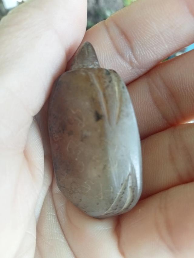 เต่า หลวงพ่อสนิท วัดลำบัวลอย 6