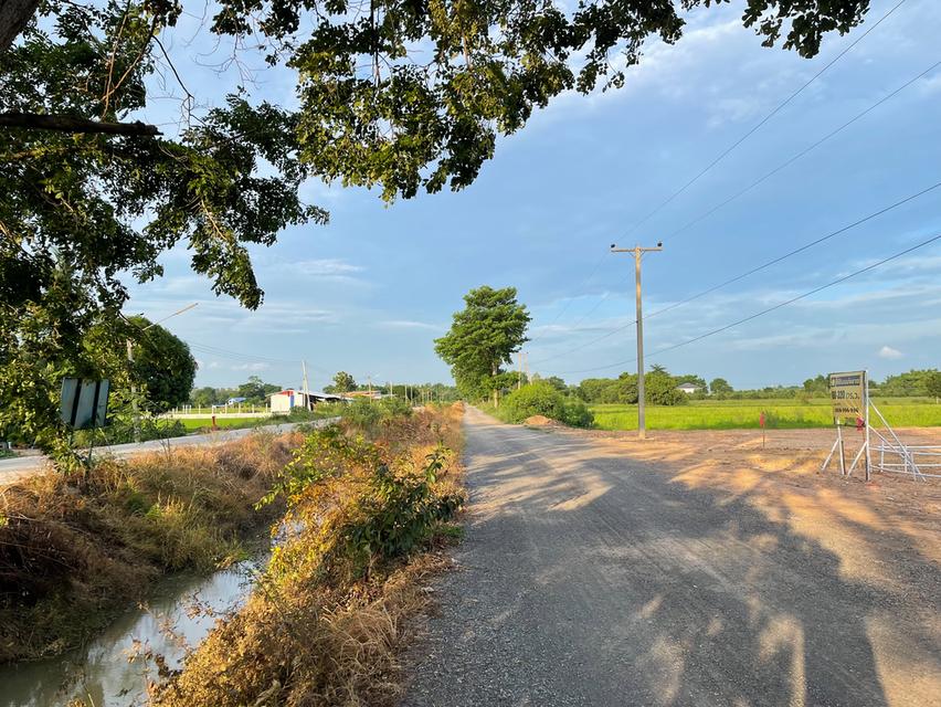 ที่ดินติดถนน 2 ด้าน ใกล้นิคมอุตสาหกรรม WHA ใกล้ถนนมิตรภาพ หนองแค สระบุรี 2