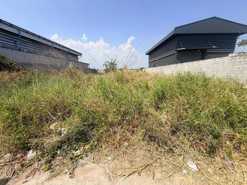 ขายด่วน ที่ดิน 180 ตารางวา ติดถนนสาธารณะ ถมแล้ว อิน 16 อ.ลาดหลุมแก้ว จ.ปทุมธานี 3