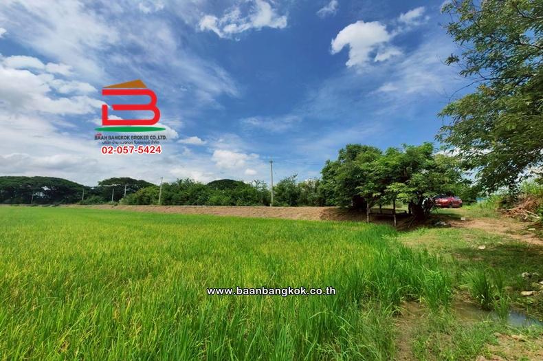 ที่ดินเปล่า เนื้อที่ 11-1-27.7 ไร่ ใกล้วัดชัยสิทธาราม ถนนเลียบคลองหางบางศาลา ตำบลจรเข้ร้อง อำเภอไชโย อ่างทอง 4