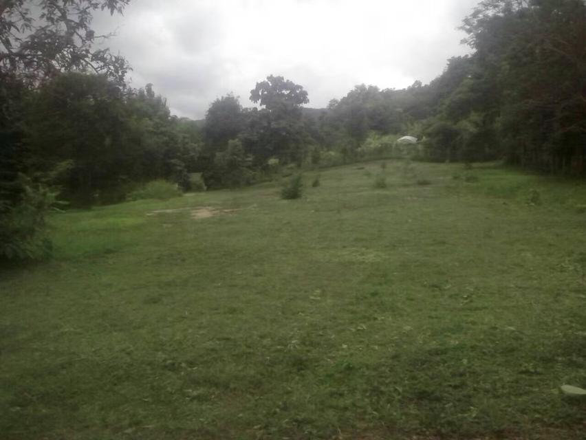 ขายที่ดินติดธารน้ำ-ลำห้วย วิวธรรมชาติ ต.แม่แรม อ.แม่ริม เชียงใหม่ 3.167 ไร่ ราคา 13.6 ล้านบาท 7