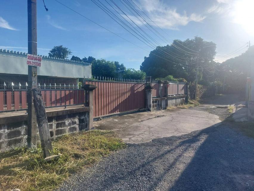 ที่ดินพร้อมบ้าน 2 งาน ตลาดโรงโป๊ะราคาถูก 5