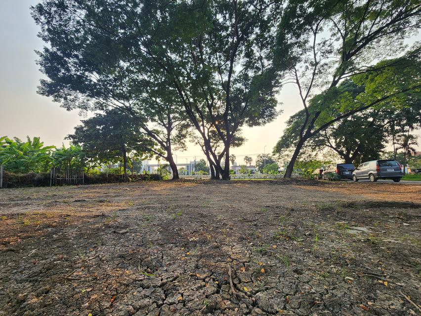 ที่ดินเปล่า 220ตรว. ริมคลองทวีวัฒนา กรุงเทพ 20