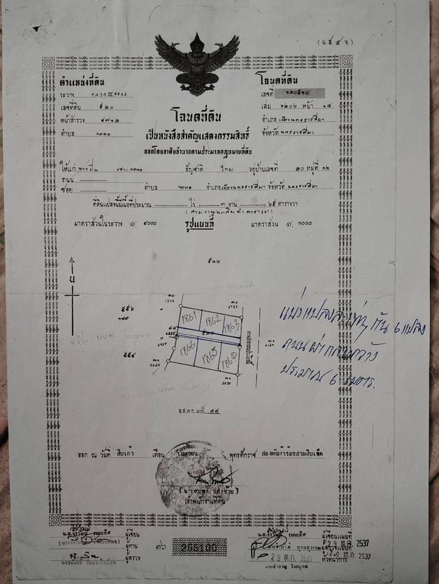 ที่ดิน จอหอโคราช 50ตร.วา ใกล้ตลาดสระครก 0991464656 1